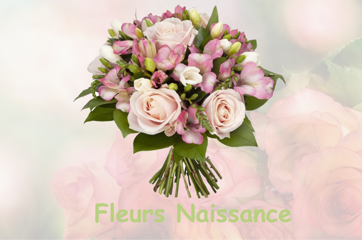 fleurs naissance FRESNAY-L-EVEQUE